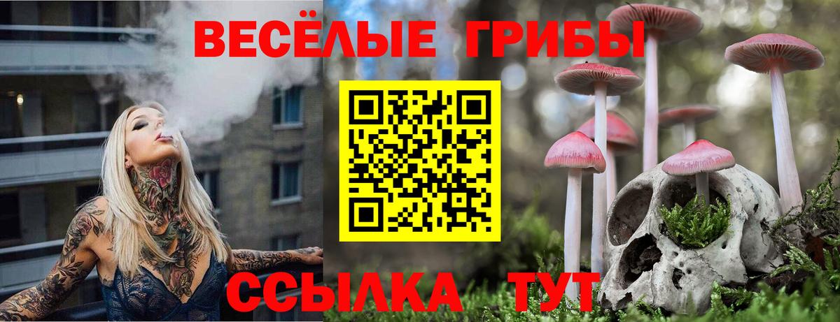 Псилоцибиновые грибы MAGIC MUSHROOMS Курчатов