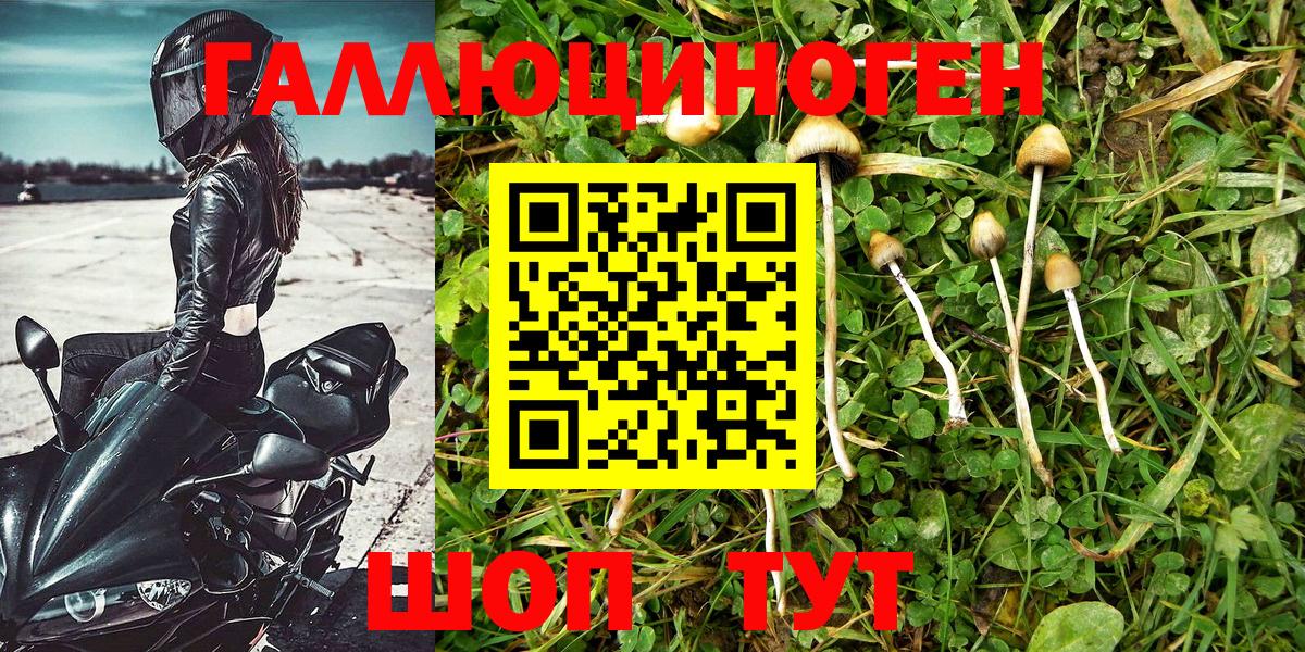 Галлюциногенные грибы Psilocybe  Псилоцибиновые грибы MAGIC MUSHROOMS  Вход с VPN  Курчатов 